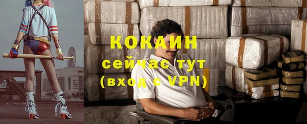 СК Белокуриха
