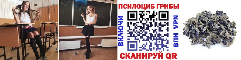 Псилоцибиновые грибы мухоморы Макаров